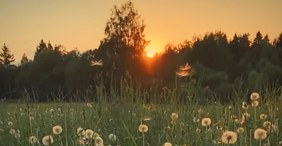 Киношный пресет. Елена Шумилова