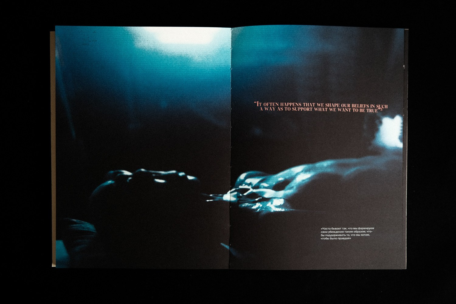 Фотокнига: Виктория Ковшикова «Проклятый треугольник». Самоорганизация Низина