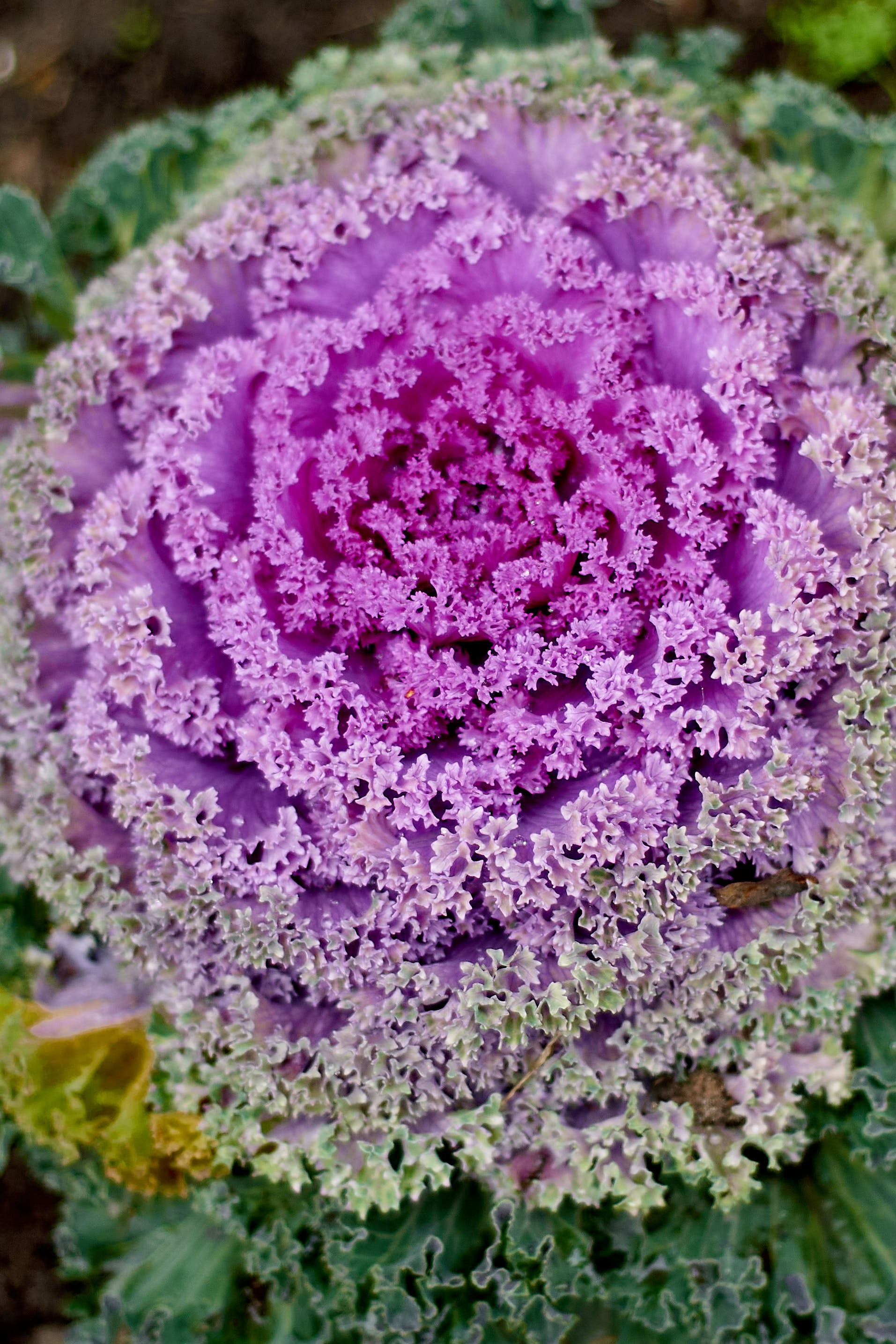 Autumn isn’t about endings. Reportage event photographer in Moscow Alexander Gladkiy