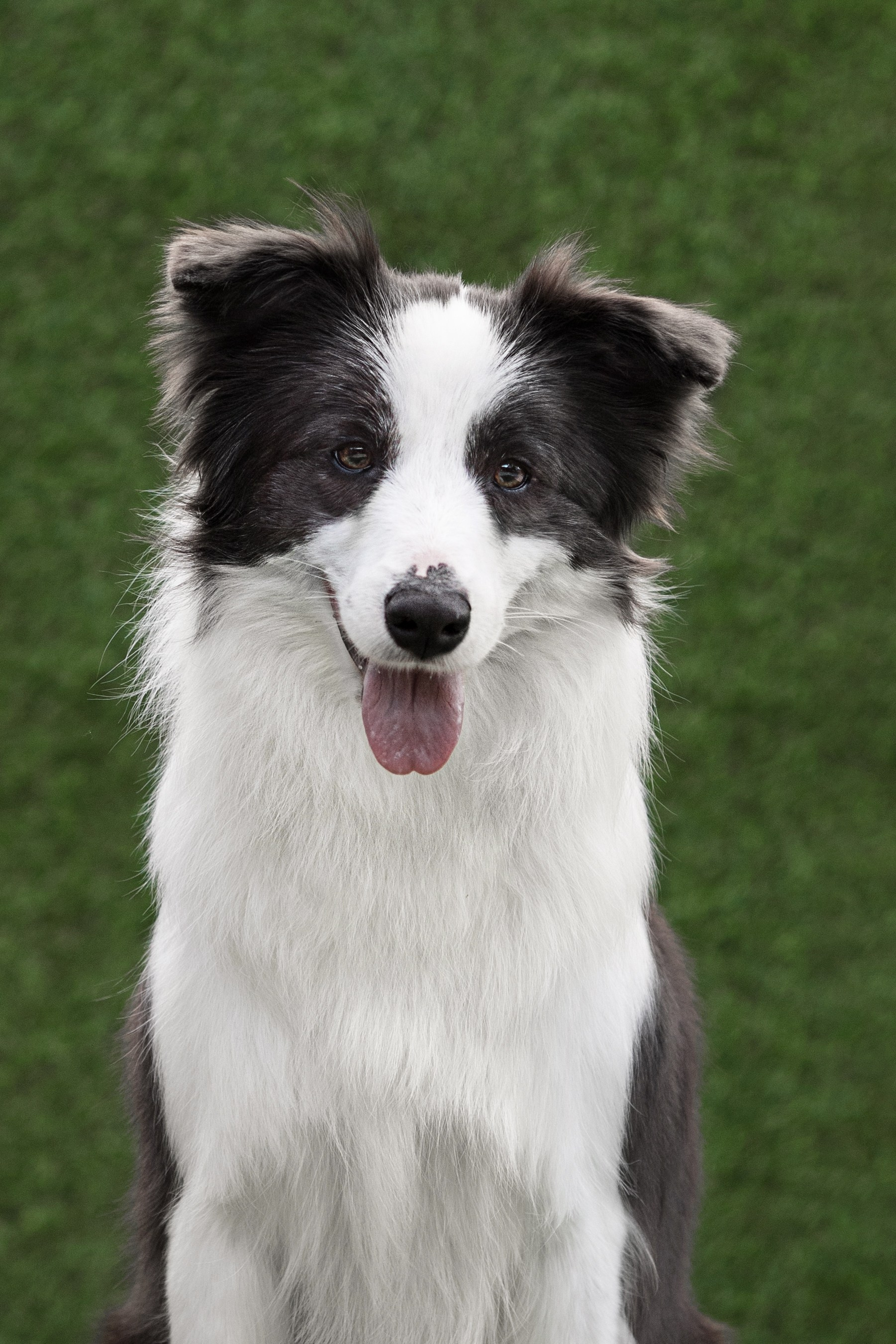 Роскошь в ростошах. О нас