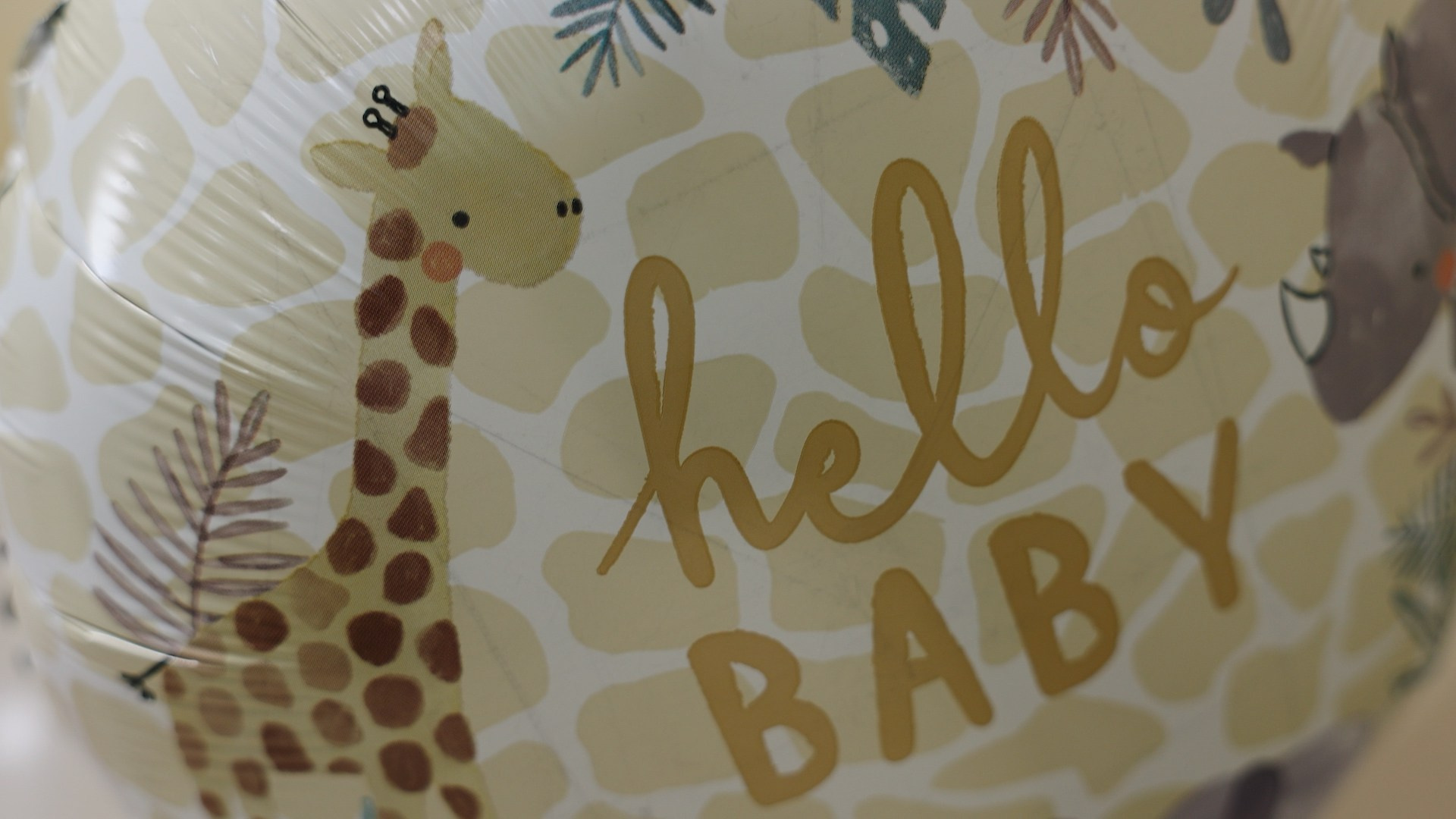 Выписка. Видеосъёмка праздников в Краснодаре