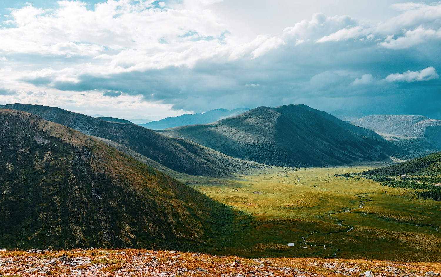 Nature. Интерьерный фотограф в Красноярске Владимир Барабаш