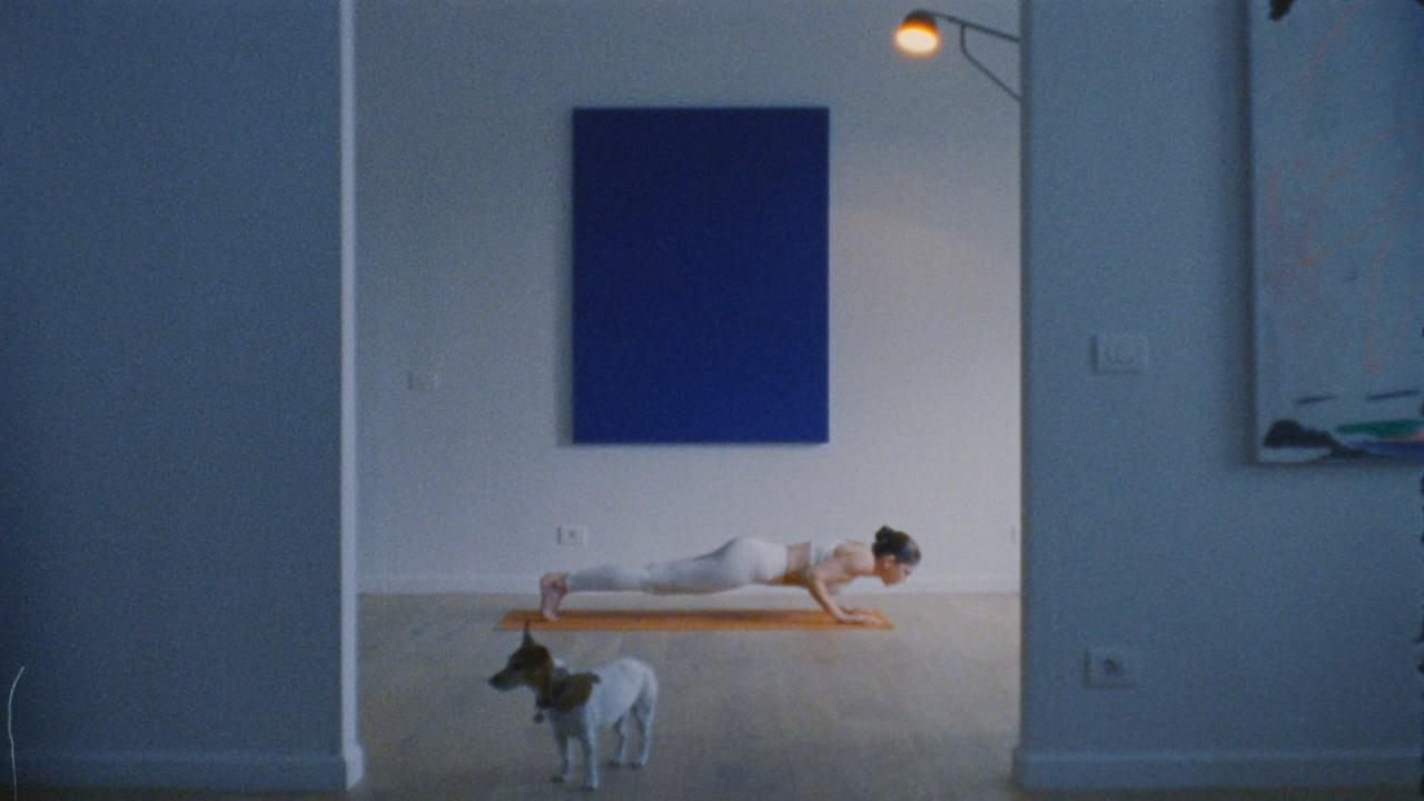 Director of photography