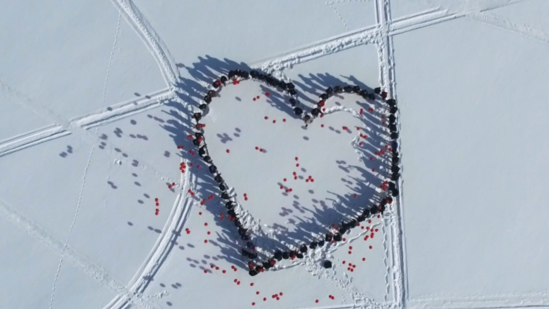 Видеосъемка Музыкальных клипов. Аудио, фото, видео услуги в Москве и области