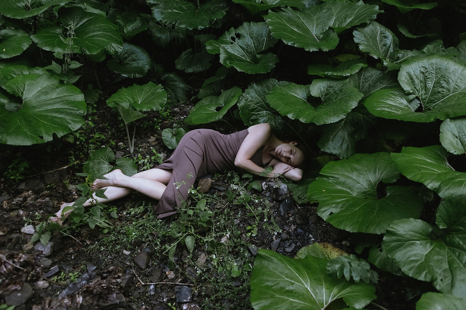 Семен Соколов