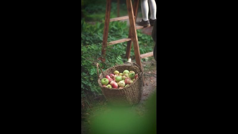 ВидеоИстории. Семейный и детский фотограф в Сергиев Посаде, Хотьково Якимчук Любовь