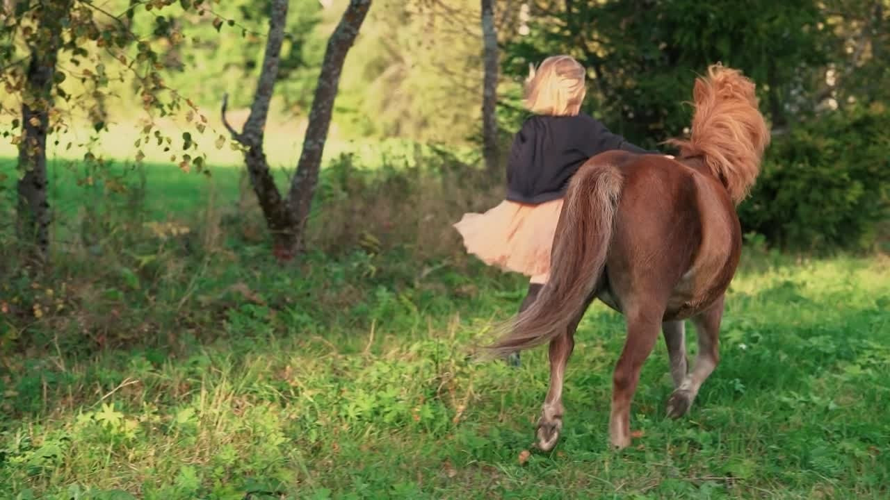 ВидеоИстории. Семейный и детский фотограф в Сергиев Посаде, Хотьково Якимчук Любовь