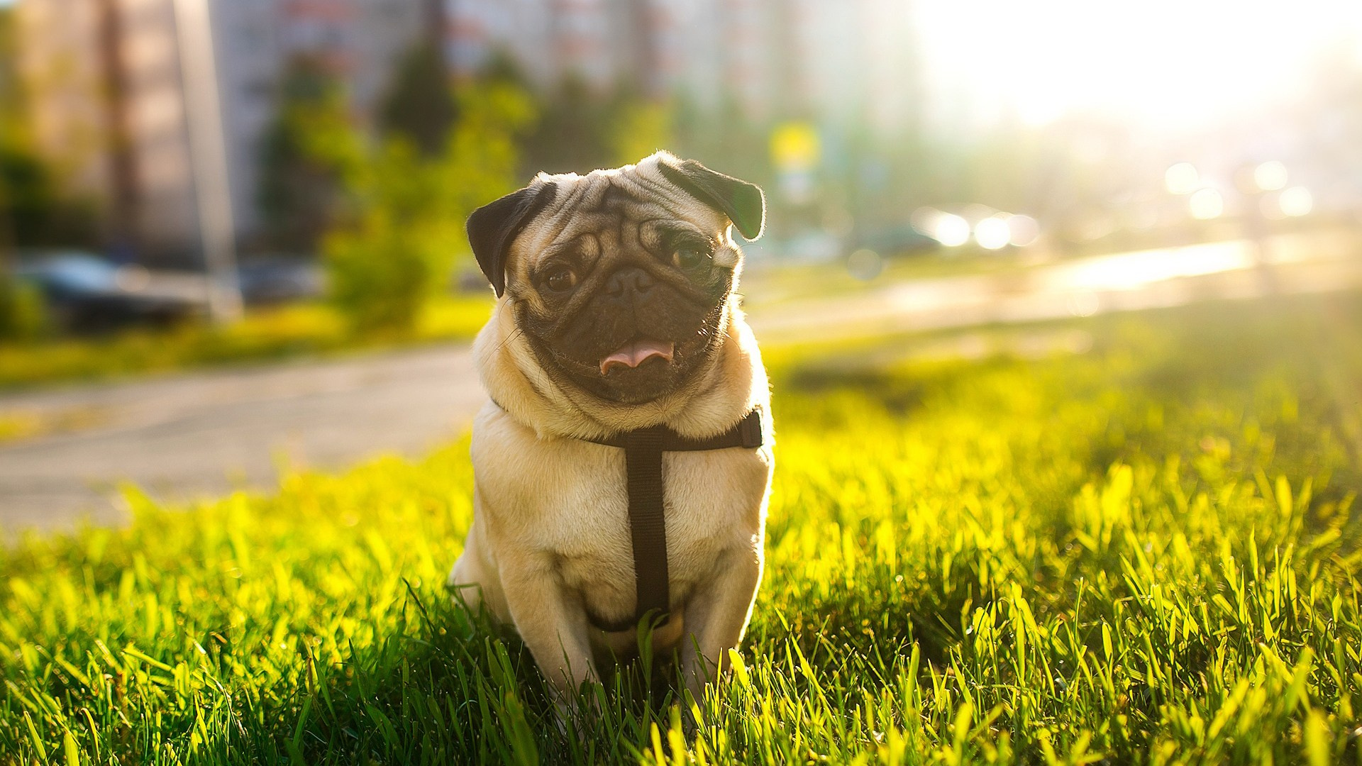 Портретная съемка. Даниил Савиных | Фотограф Тюмень