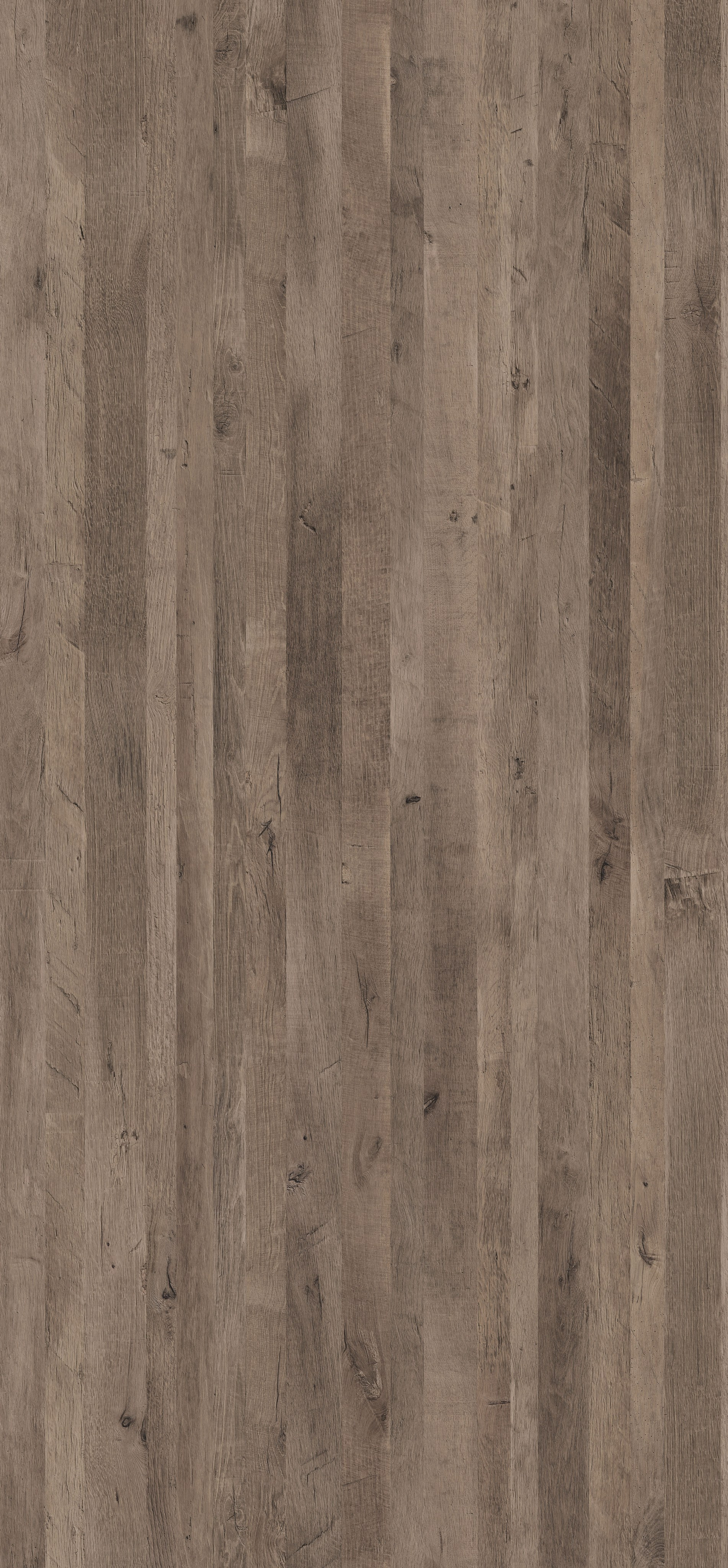 EGGER. Главная