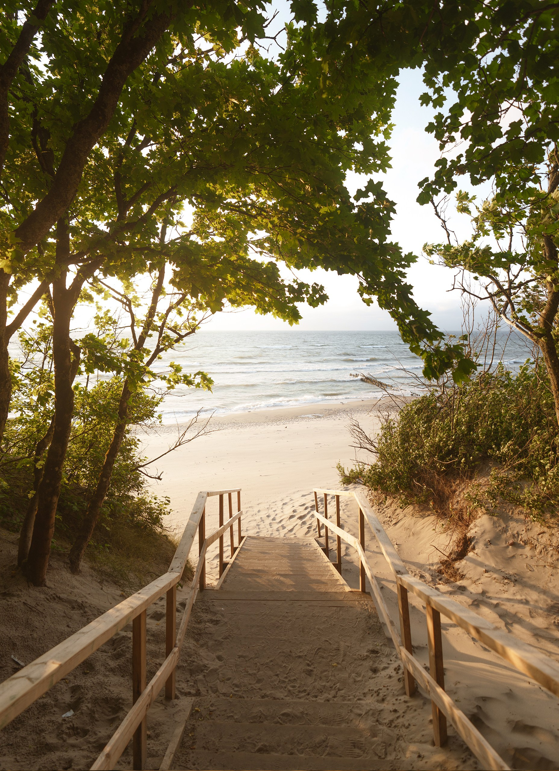 Илья Казанков. Фотограф и графический дизайнер из Калининграда