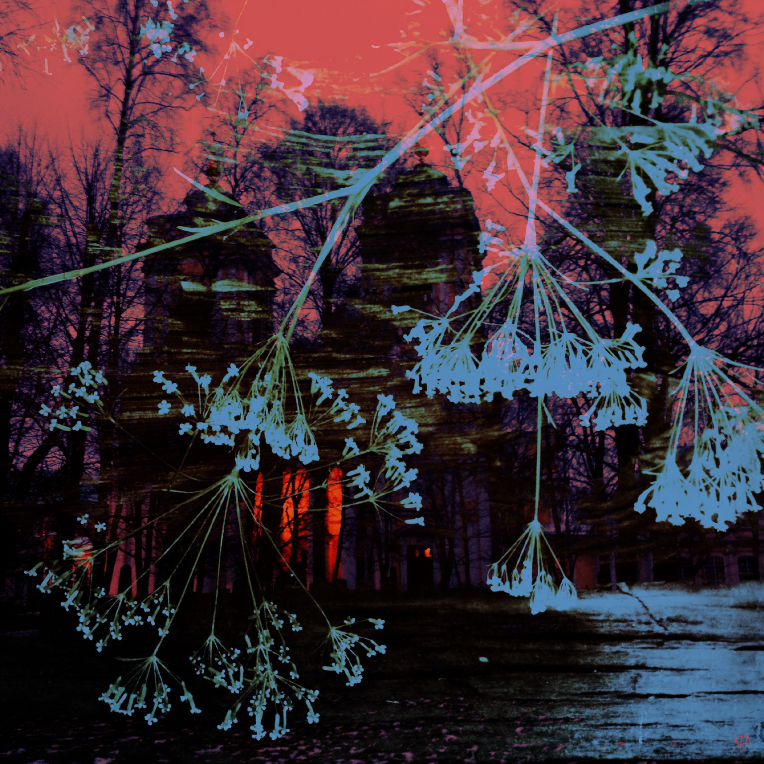 ТЫ СПИШЬ? , 2015. Soulstamina ~ graphic designer & visual artist from St.Petersburg