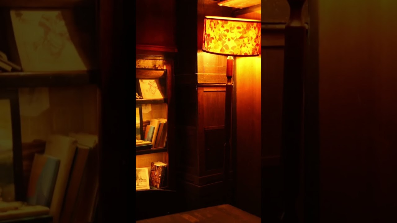 Видеограф в Израиле. Фотограф и видеограф в Израиле Соня Скай