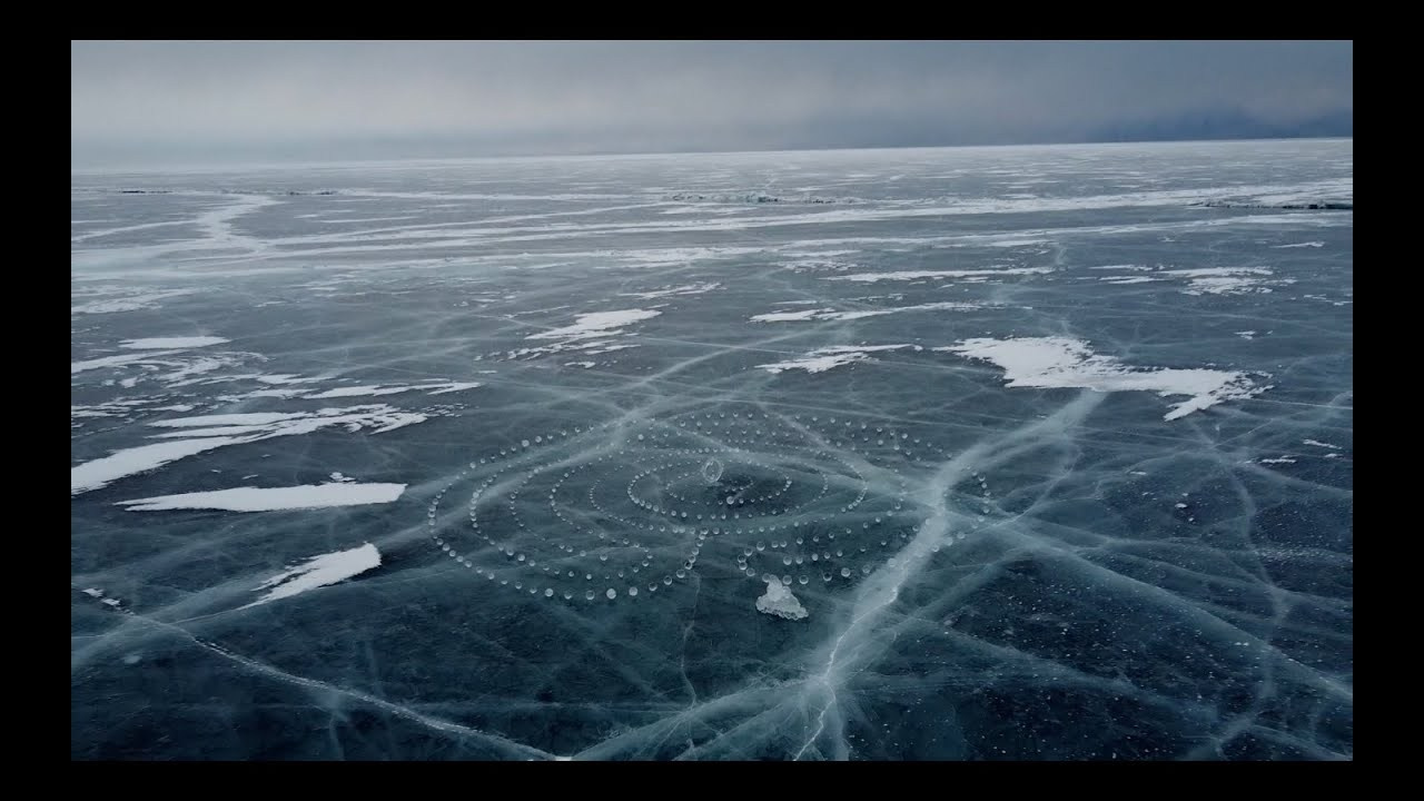 Видео. Автор фото и видео Кристина Гапоненко
