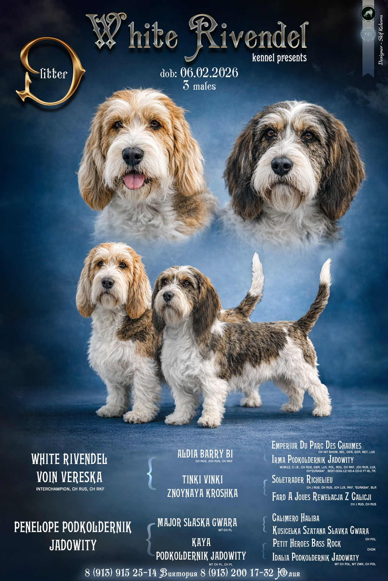 Малые Вандейские Бассет Гриффоны 3 недели. White Rivendel D litter