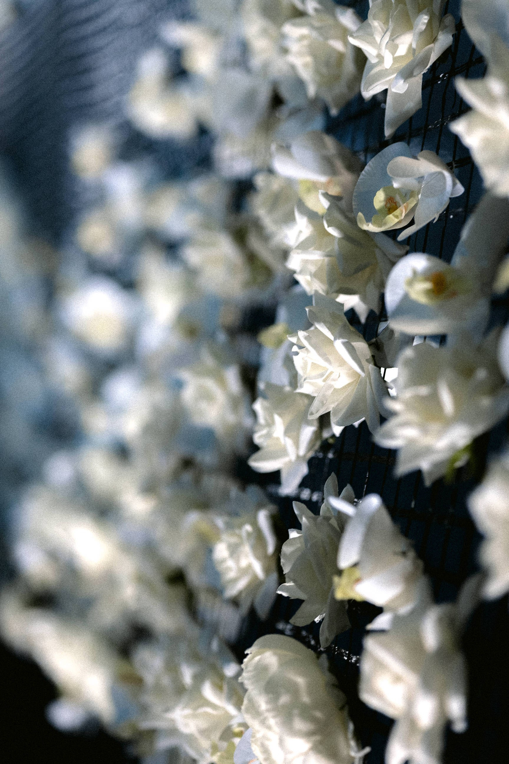 Анастасия & Никита. Yura Rush Свадебный фотограф Тюмень