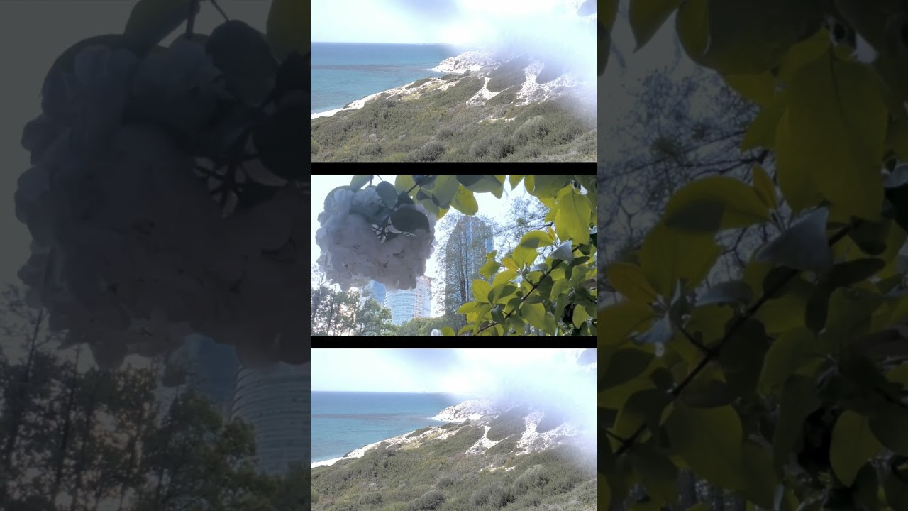 FILMS. OLGA NEFF. Artist. Visual, Music, Poesy