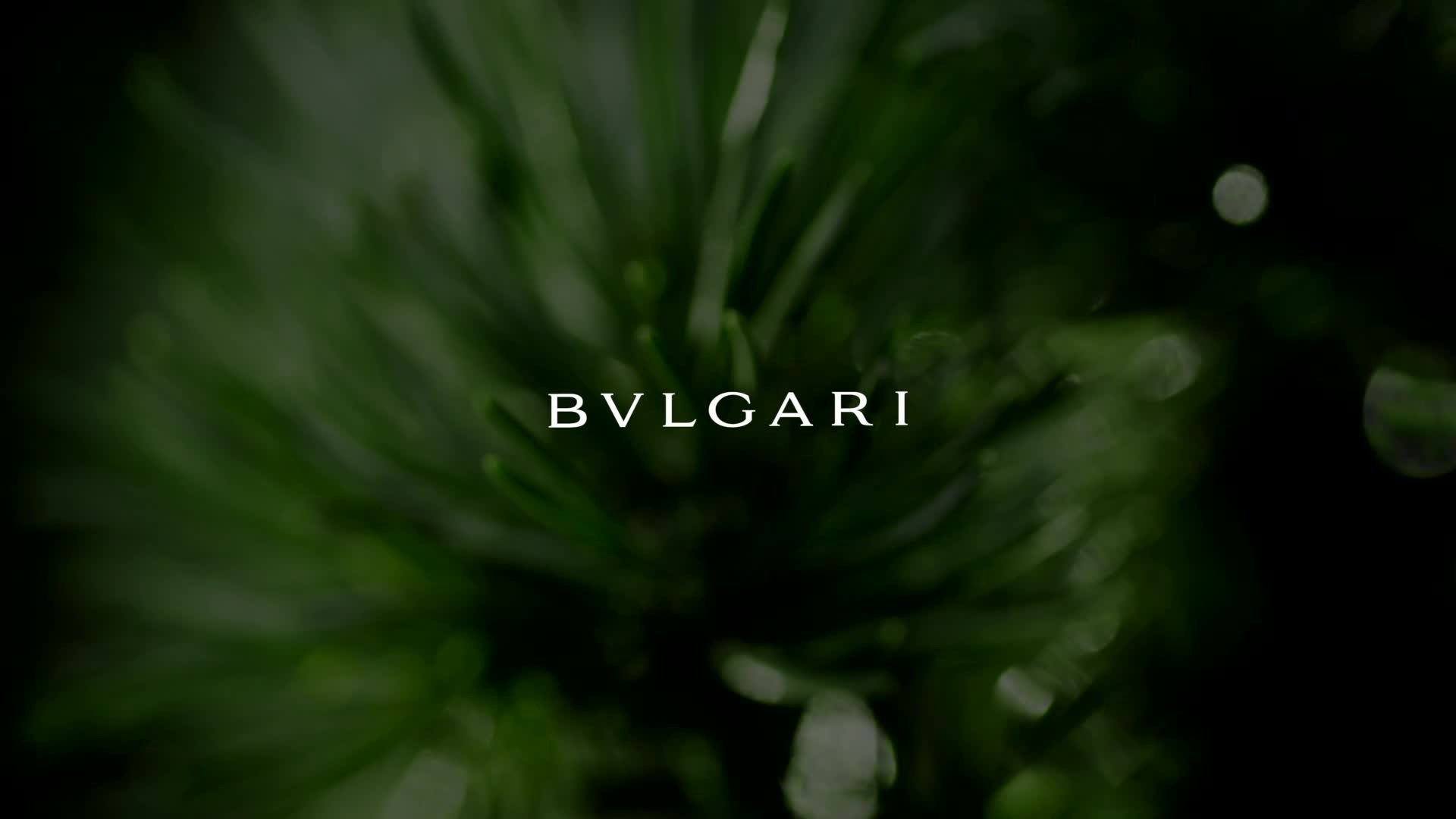 Имиджевая фото и видео съемка для BULGARI Россия. Качественный продакшн для вашего бизнеса — фотосъемка, видеосъемка, создание контента