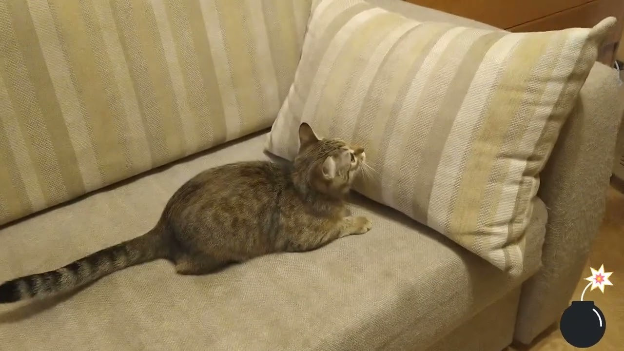 Юмор. Марина Рыбкина — Глубинная психология