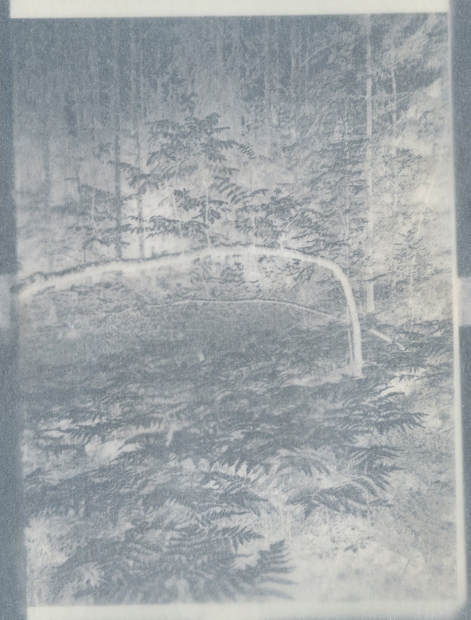 Вика Буковская — Помоги мне вернуться в места, которые всё ещё кажутся знакомыми