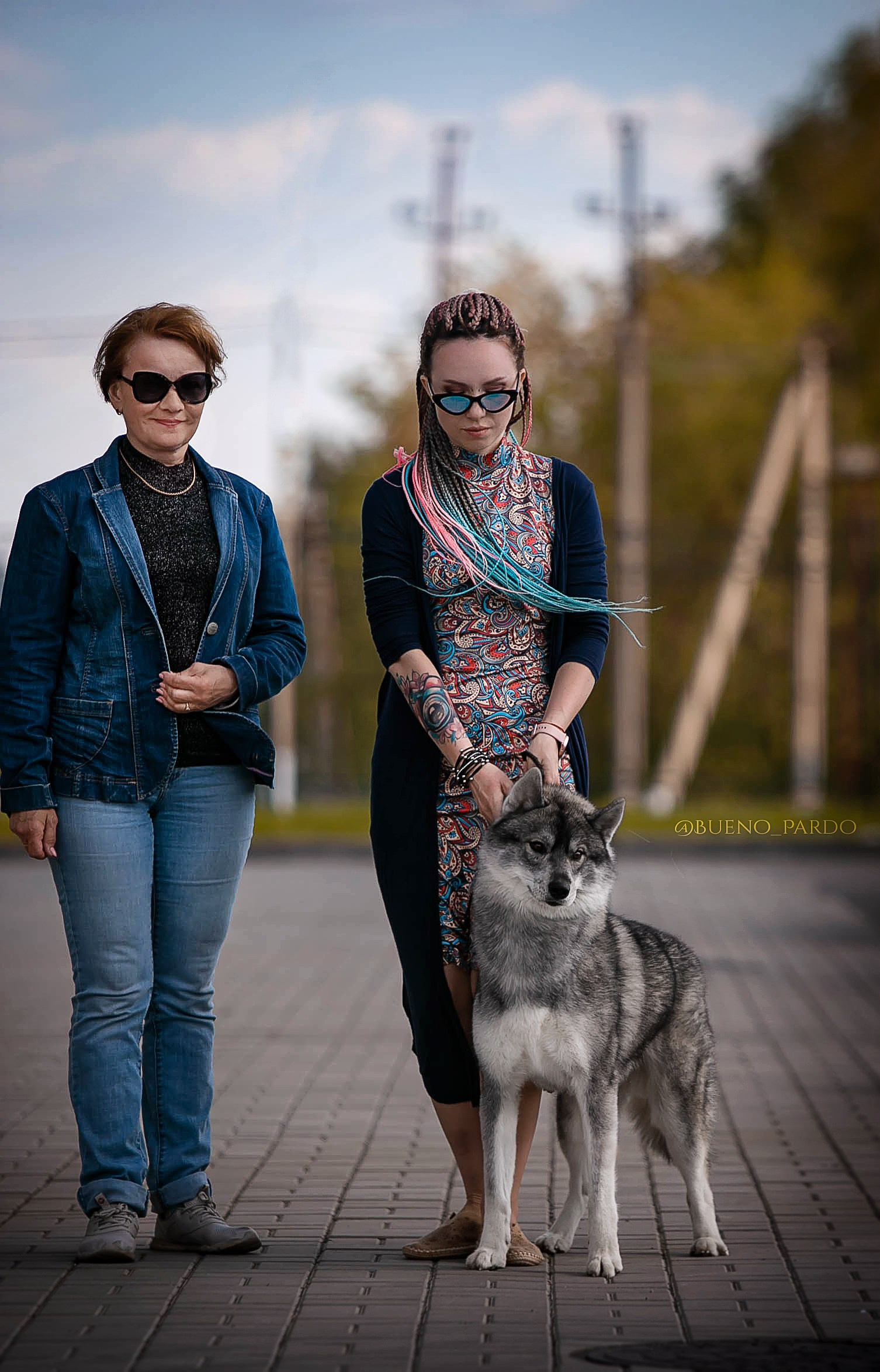 Щенки сибирского хаски из питомника. Питомник собак Акита, Хаски, Корги