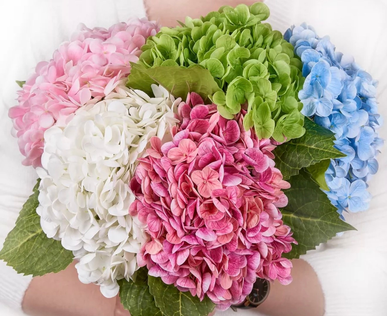 Искусственные цветы в студии. Фотостудия в Строгино