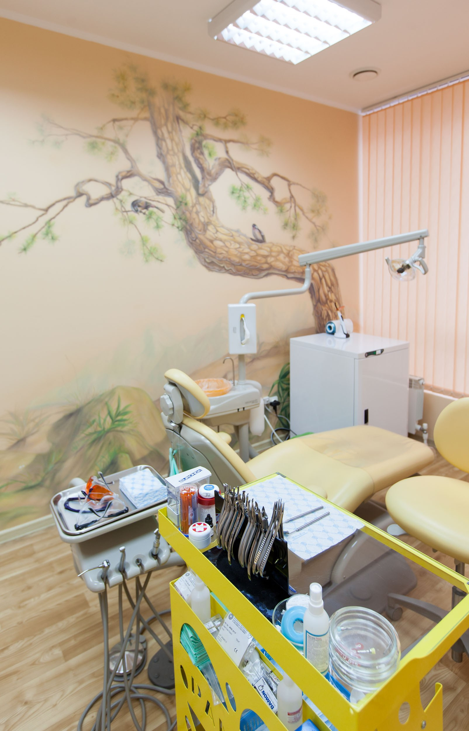 Интерьерная фотосъемка стоматологии Ортодент Прайм в Вологде