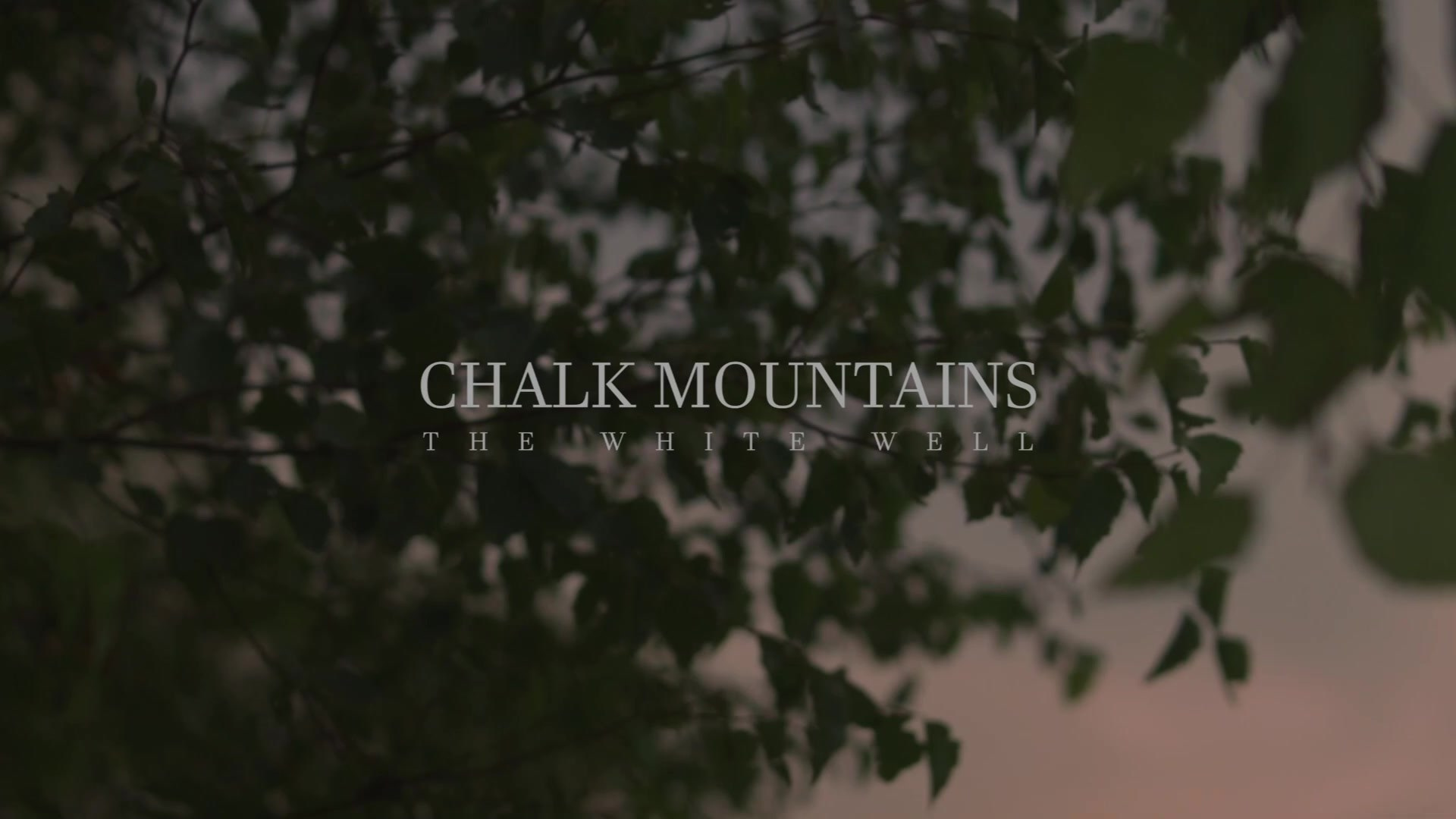 Видеосъёмка. Егора Азовцев — Видеограф Воронеж