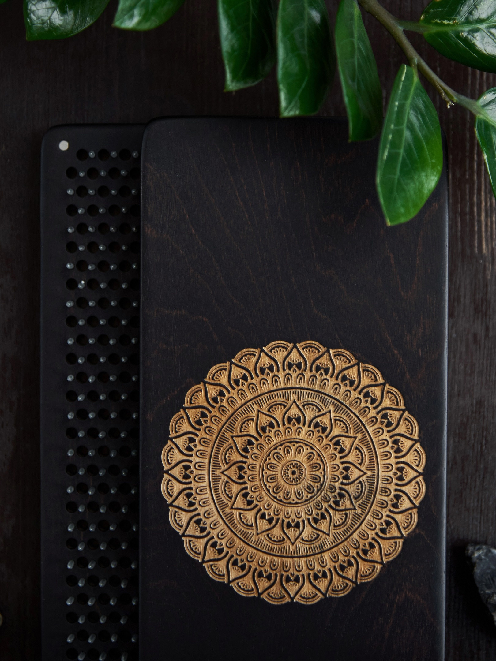 Доски Садху. Фотограф Опыт Качество Скорость Горный Алтай Барнаул