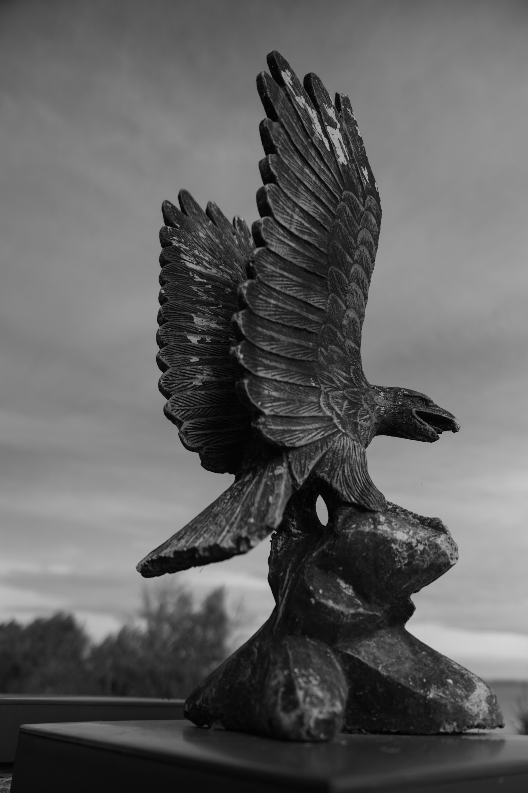 Вероника & Иннокентий. Yura Rush Свадебный фотограф Тюмень