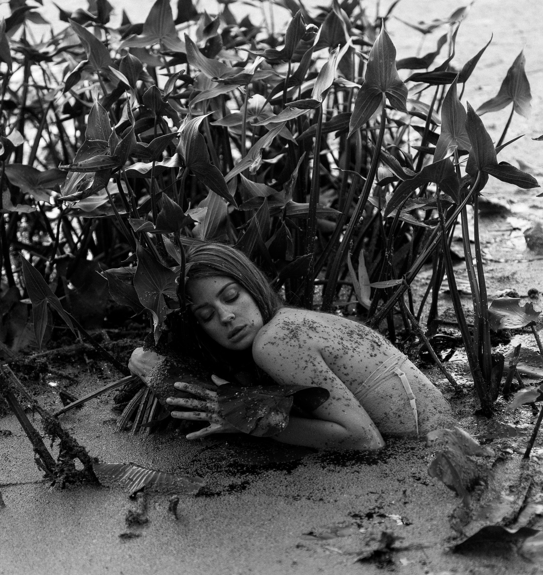 Добродеева Алла фотограф, Москва