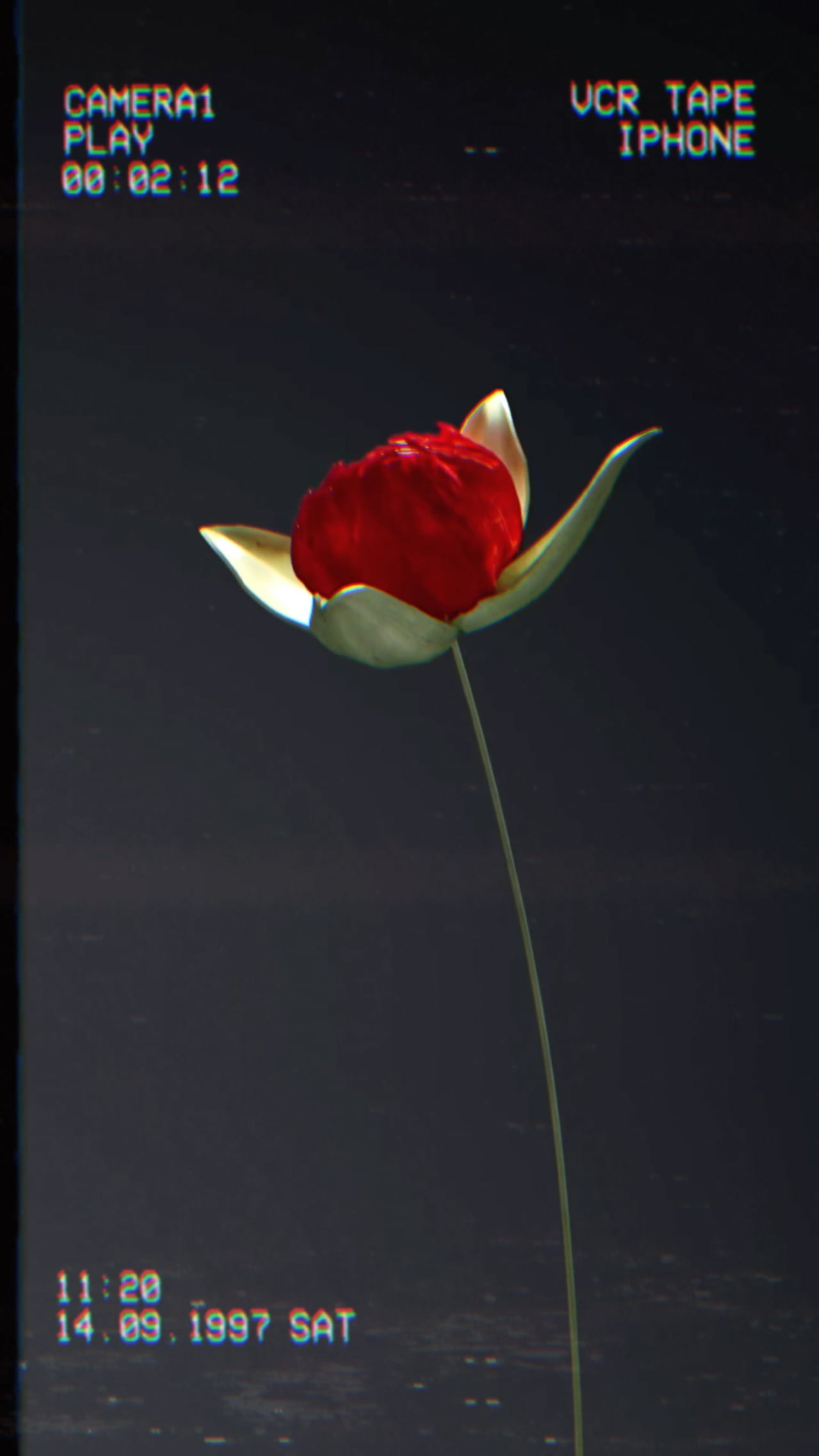 Видео. 1224 prod — продакшен полного цикла для вашего бизнеса и жизни