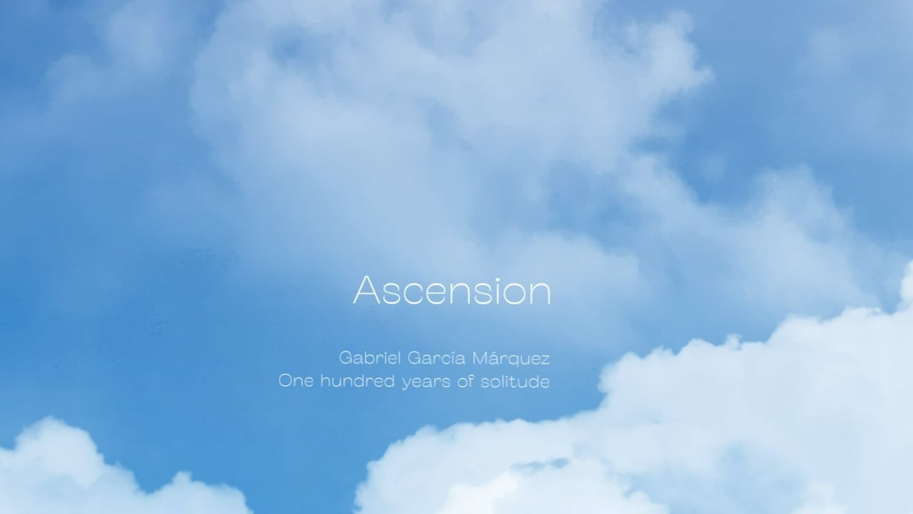 Ascension. Sia Levine Design