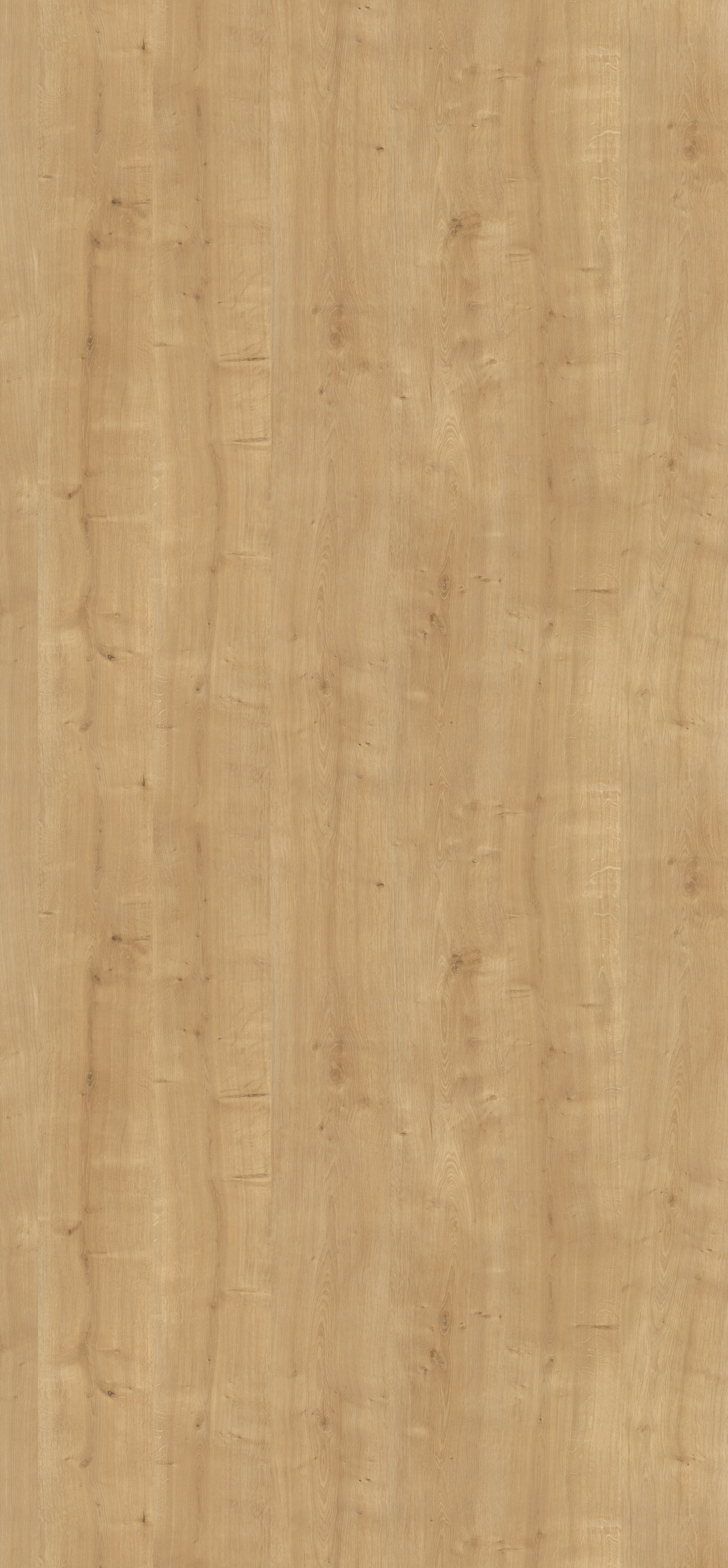 EGGER. Главная