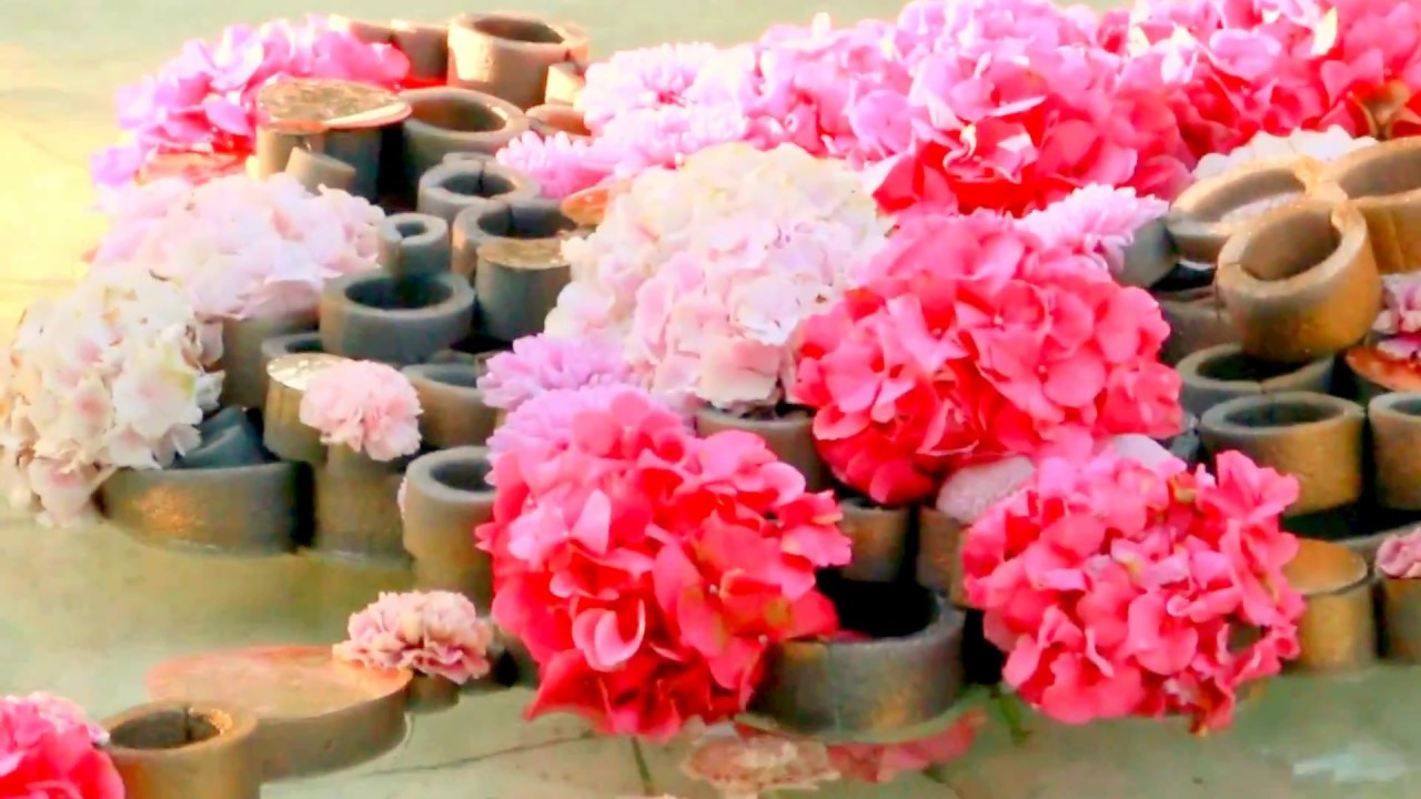 МОИ ВИДЕО. Семейный, Детский, Репортажный фотограф в Санкт-Петербурге Погодина Лю