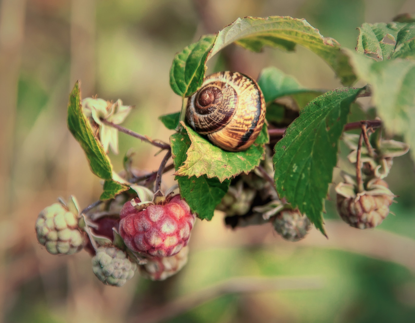 Главная. Фотограф Павел Дунюшкин, г.Зеленоградск Калининградской области
