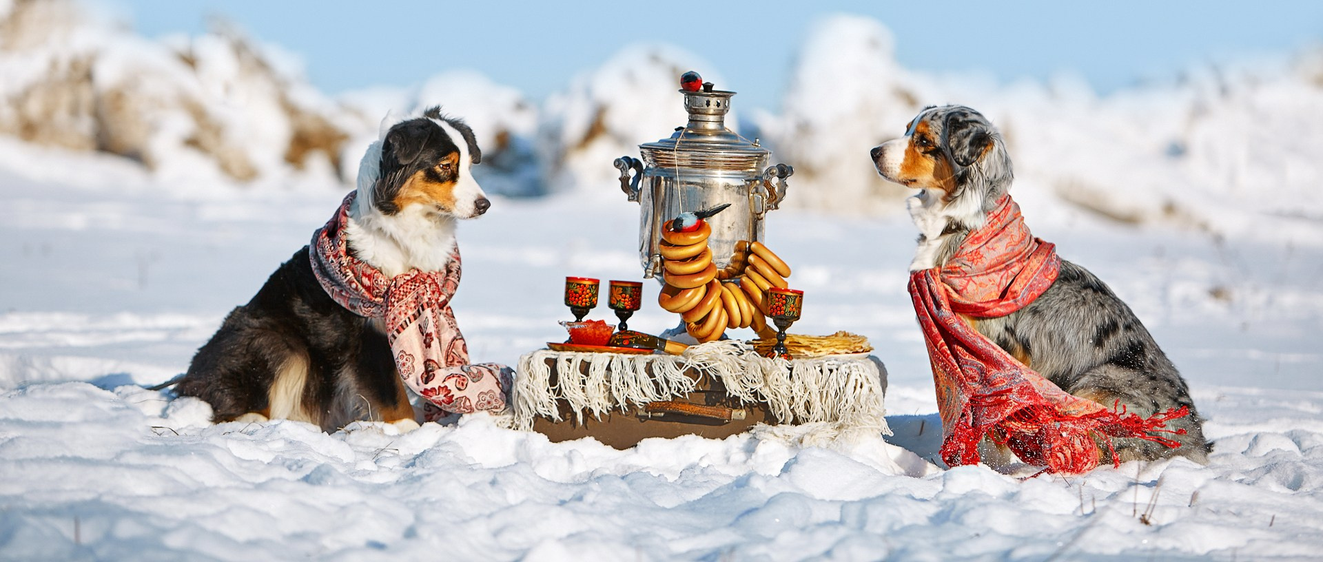 Блог. Детский и семейный фотограф в Нижнем Новгороде Мячикова Наталья