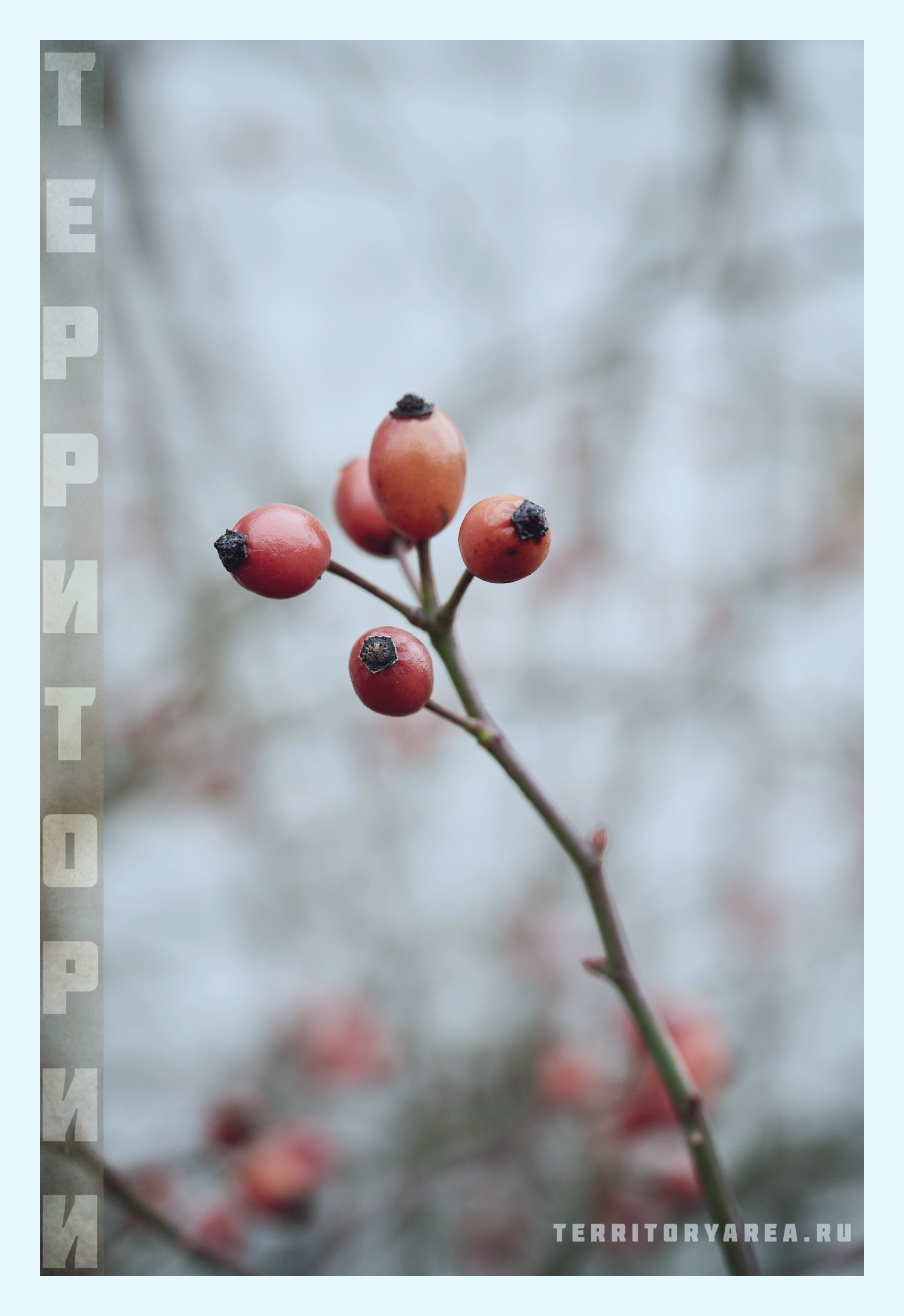 Фотопринты А3. Фотопроект «Территории»