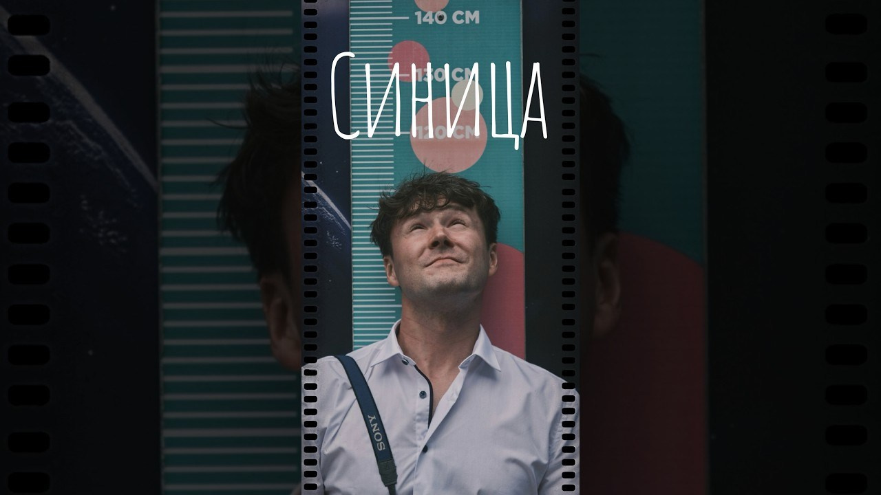 Музыкальные клипы. KIMEDIA