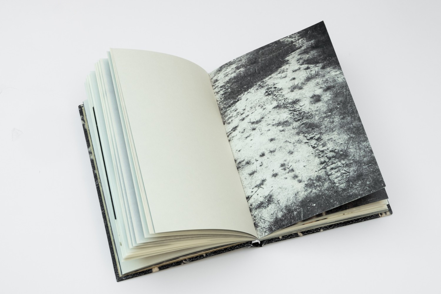 How Sasha Litvinov buried the gun — Book. Kristina Sergeeva