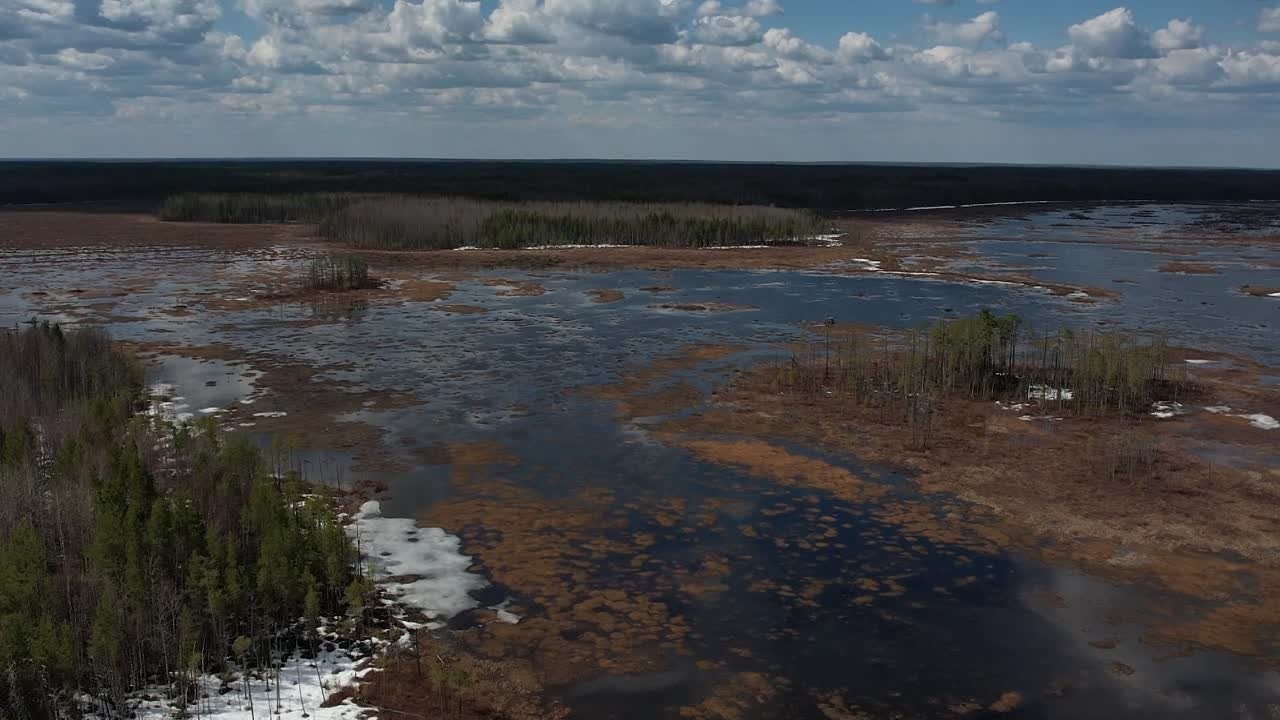 Видео. Фотограф Татьяна Борисова