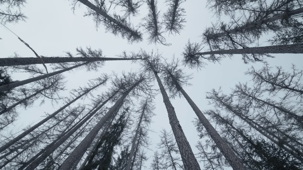 Filmmaking. Фотограф в Петербурге Марина Бояринцева