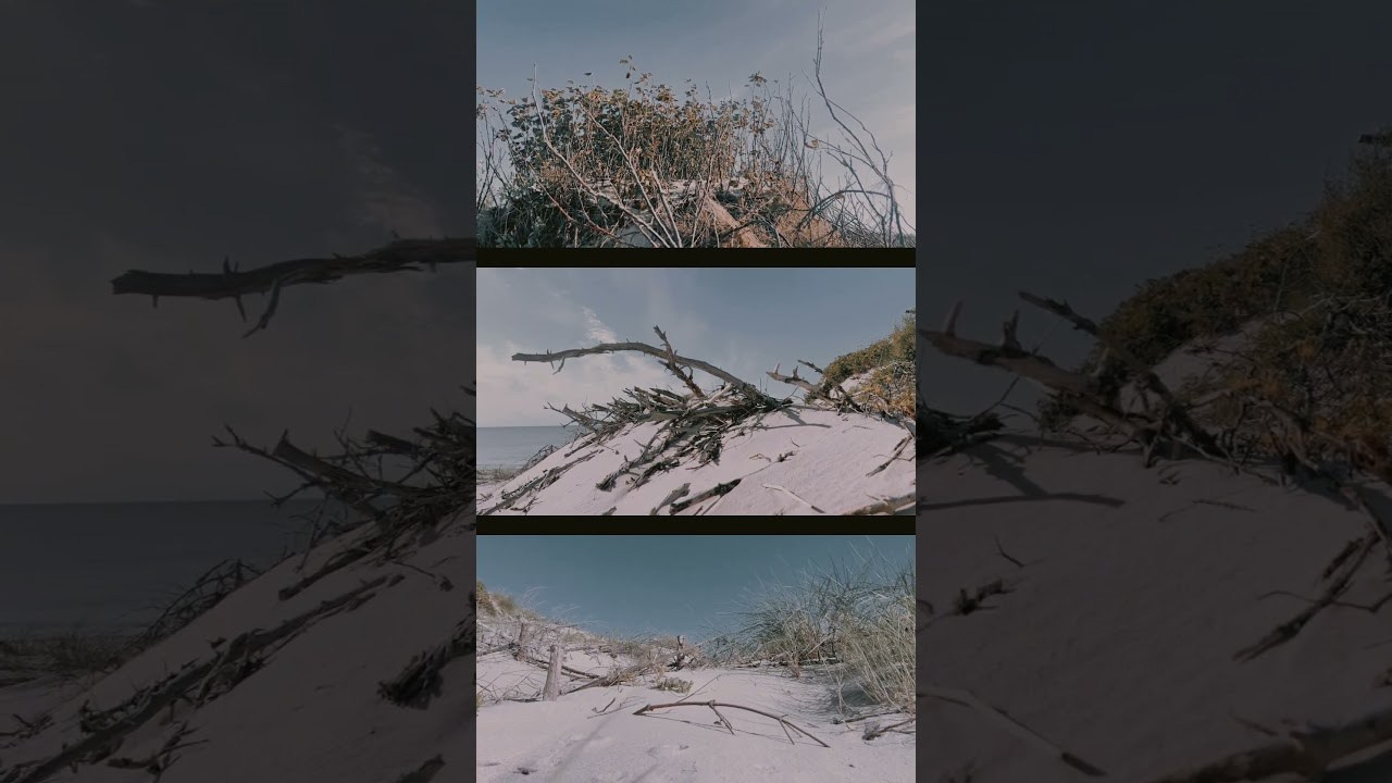 FILMS. OLGA NEFF. Artist. Visual, Music, Poesy