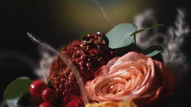 Видеосъемка. Фотограф в Тамбове Дарья Выжанова