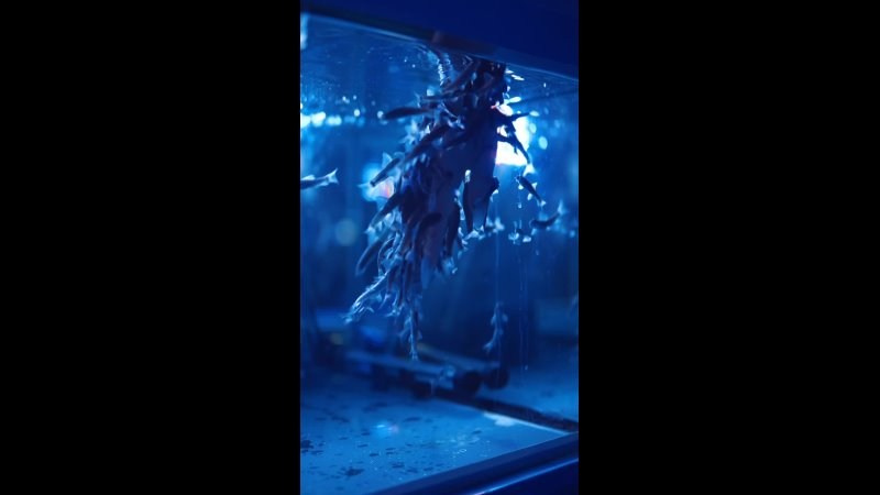 Бизнес-контент. Видеограф и фотограф в Екатеринбурге Крисковец Дмитрий