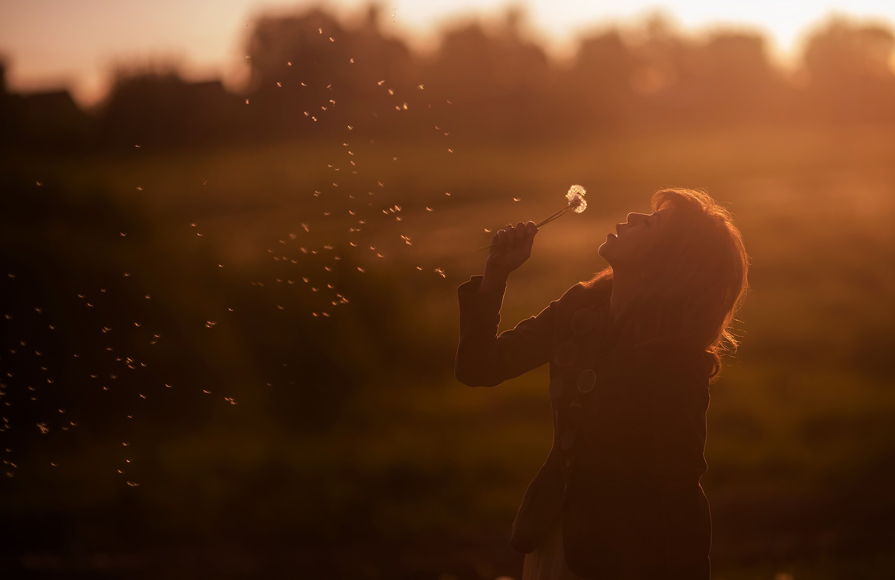 דיוקן / תוכן. צלם ואמן ילדים ומשפחה