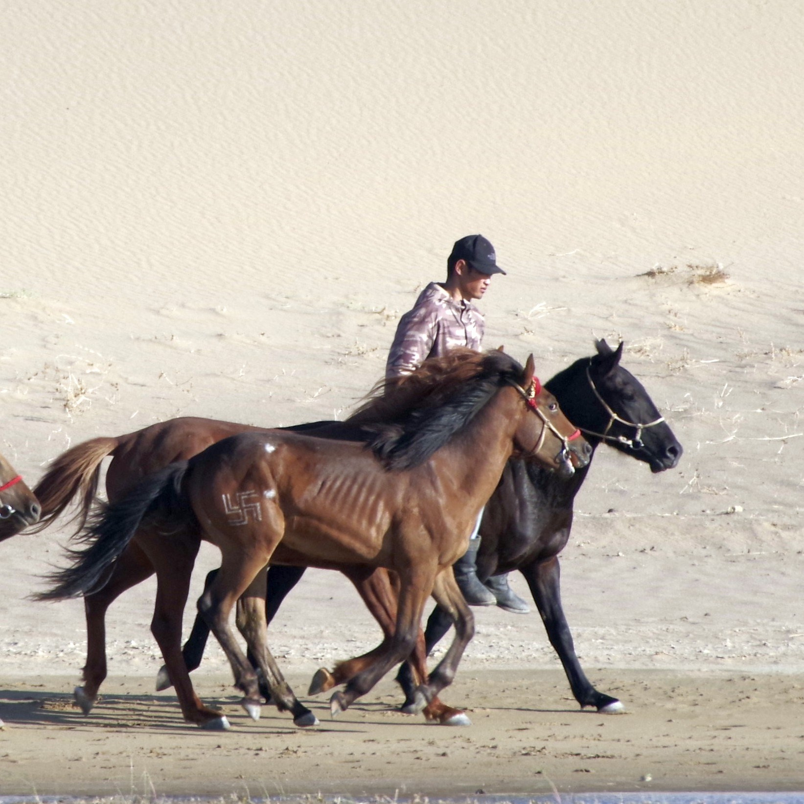 Экспедиция в Монголию (Гоби). Семоха Валерий. Фотограф
