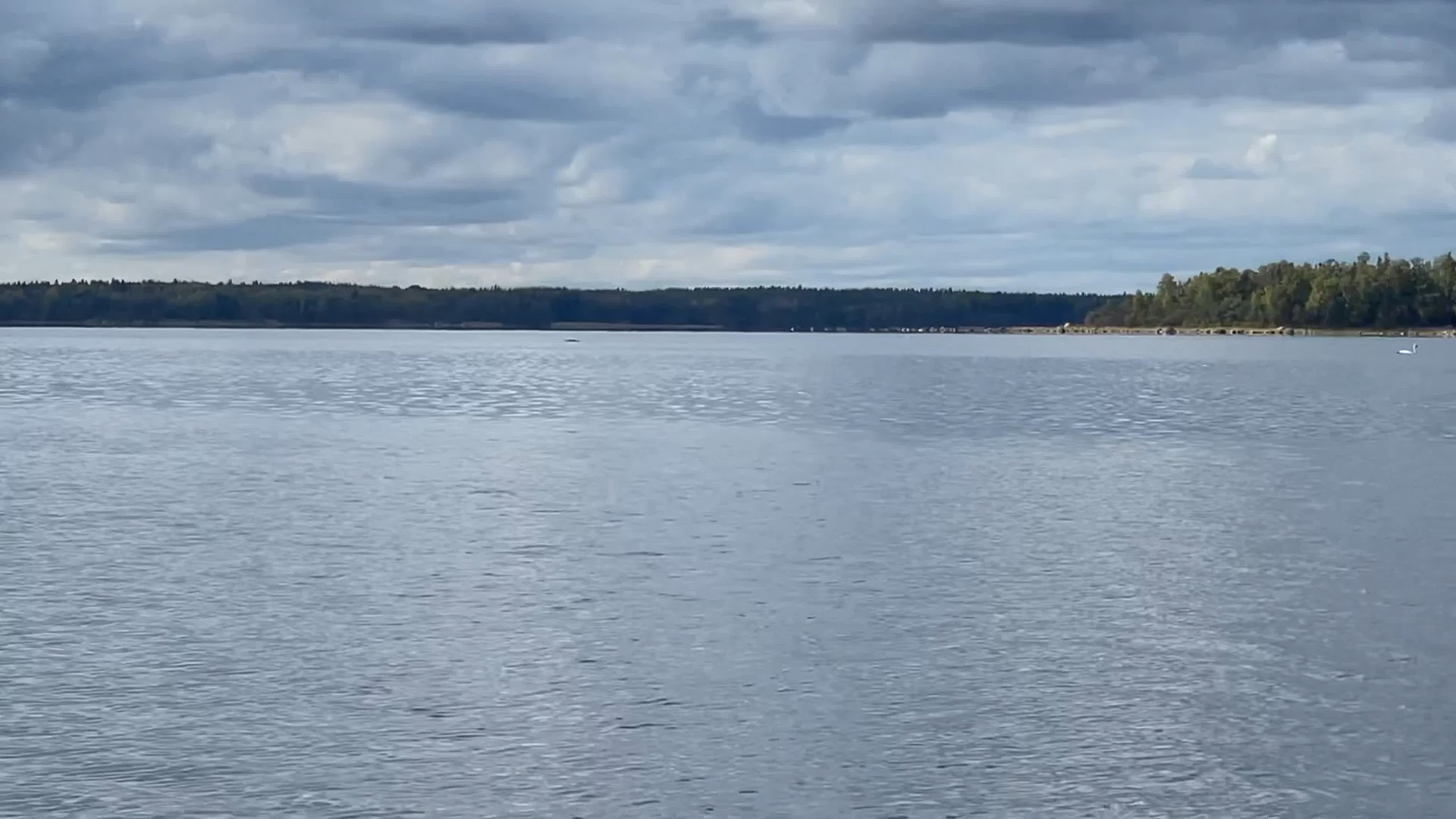 Мусихин Михаил Аркадьевич — сайт памяти о добром и светлом человеке