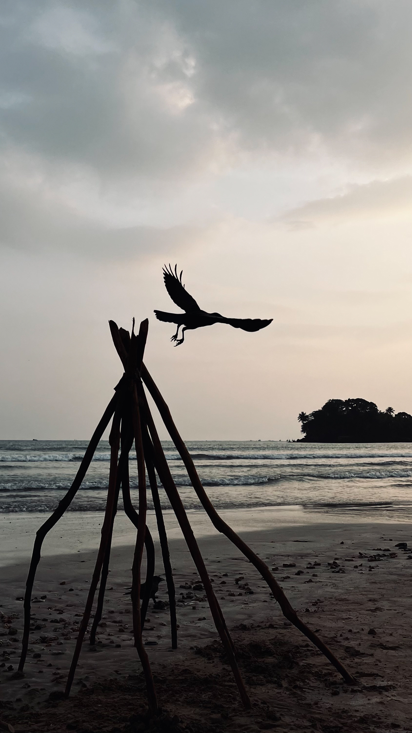 Курс по мобильной фотографии «ФОТОЛОВИСТА»