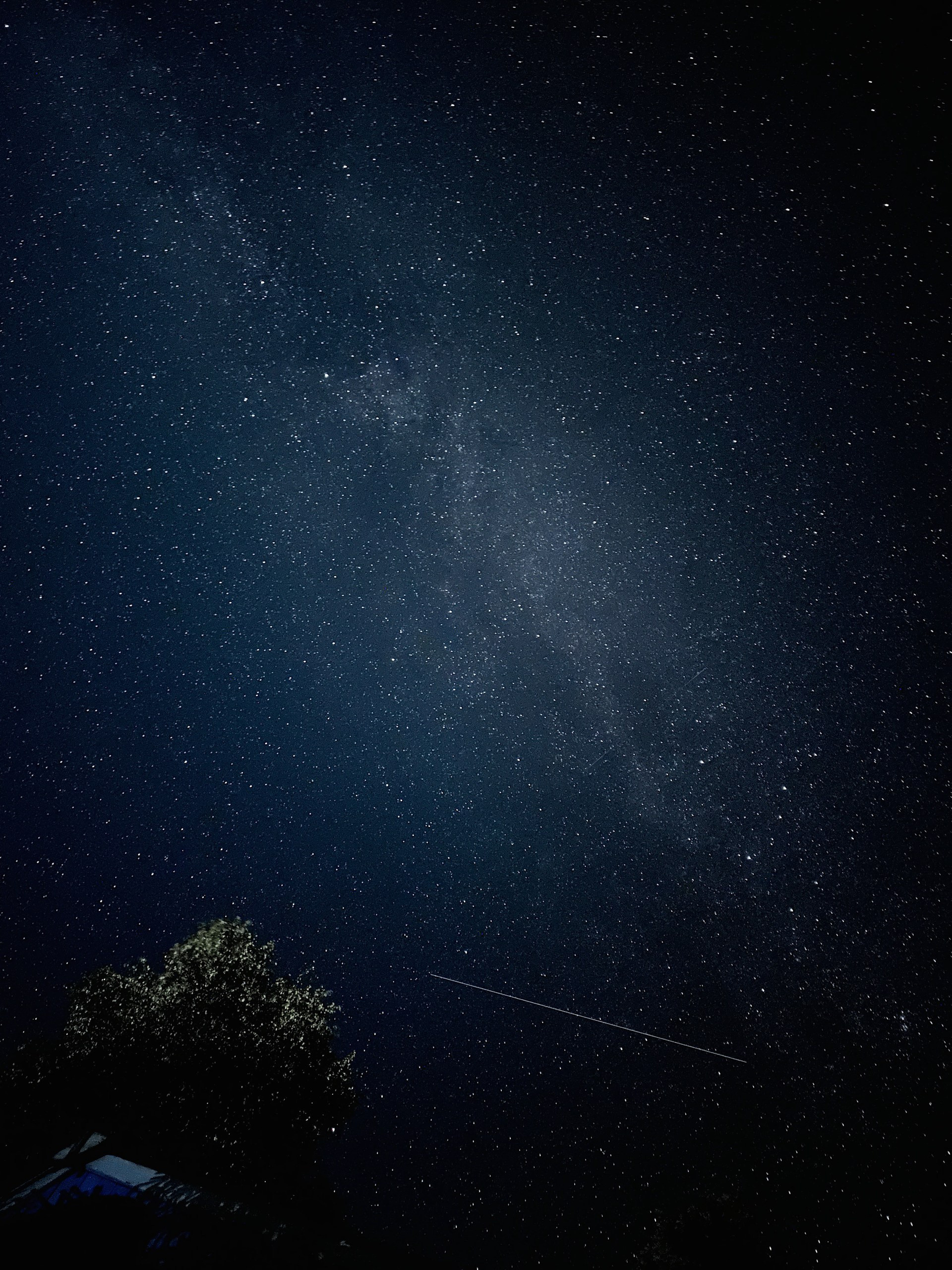 Курс по мобильной фотографии «ФОТОЛОВИСТА»