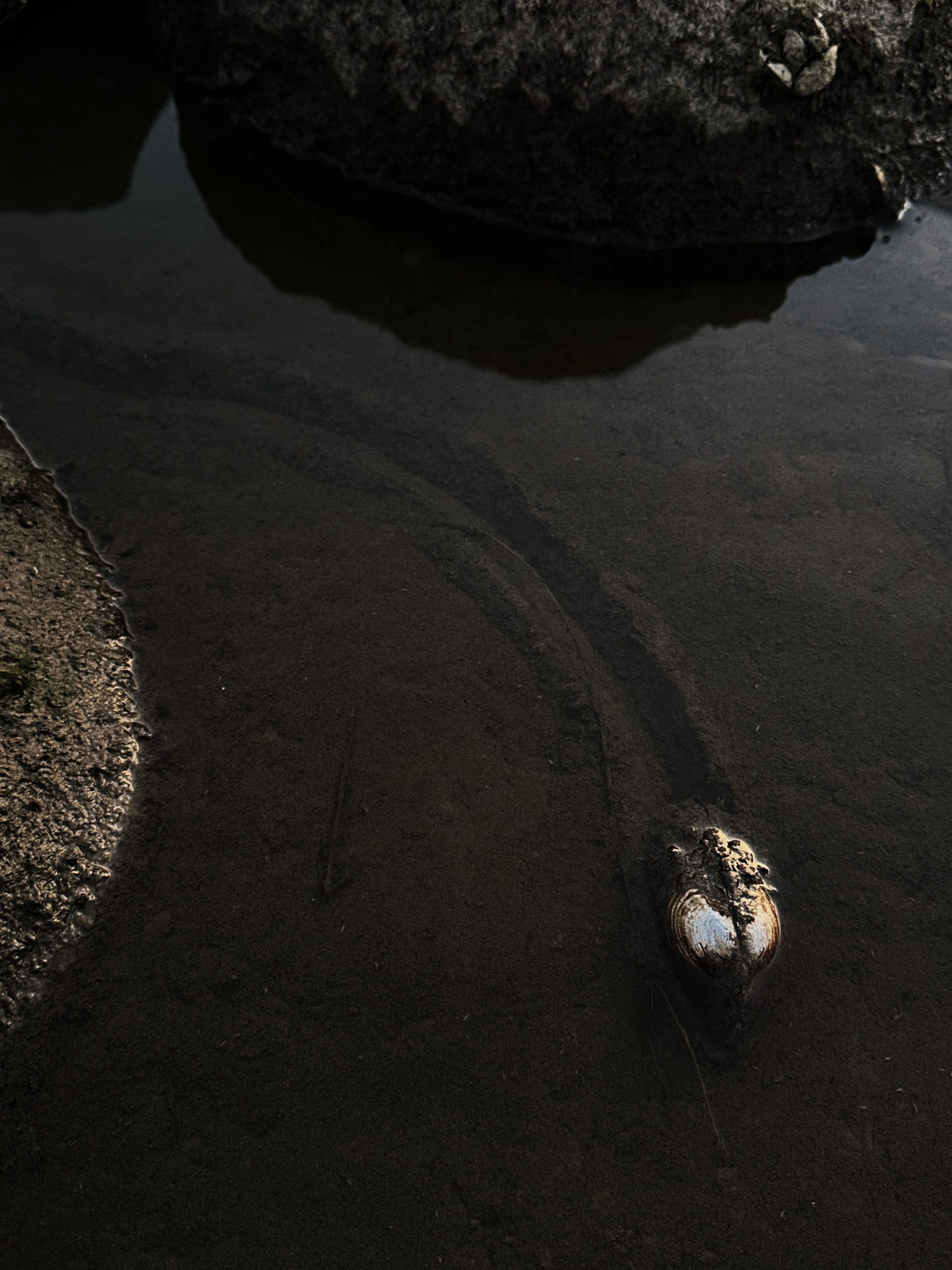 Курс по мобильной фотографии «ФОТОЛОВИСТА»
